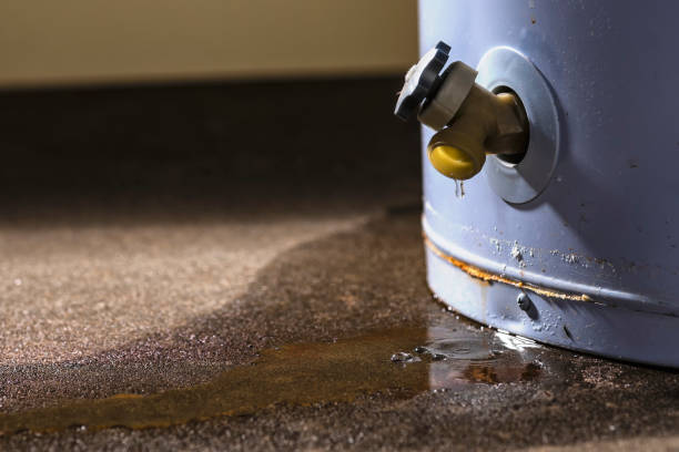 Best Water damage restoration cost  in Harrogate, TN
