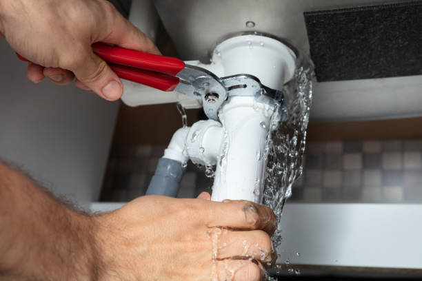 Best Flooded house restoration  in Harrogate, TN