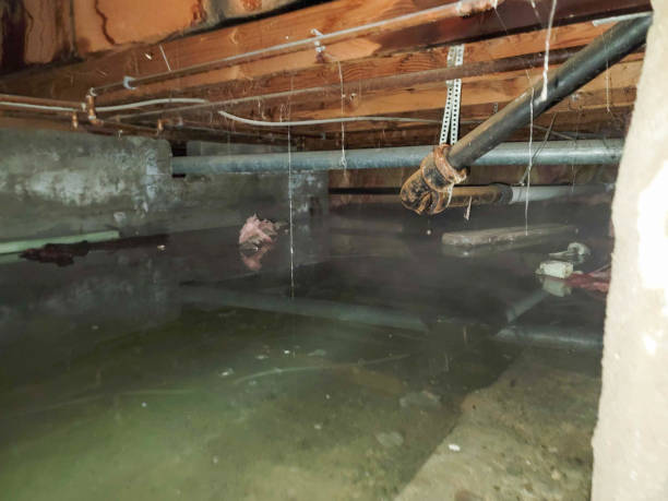 Best 24-hour water damage restoration  in Harrogate, TN
