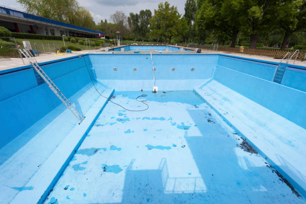 Best Flood restoration services  in Harrogate, TN