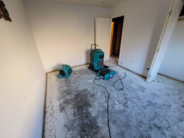 Best Commercial water damage restoration  in Harrogate, TN