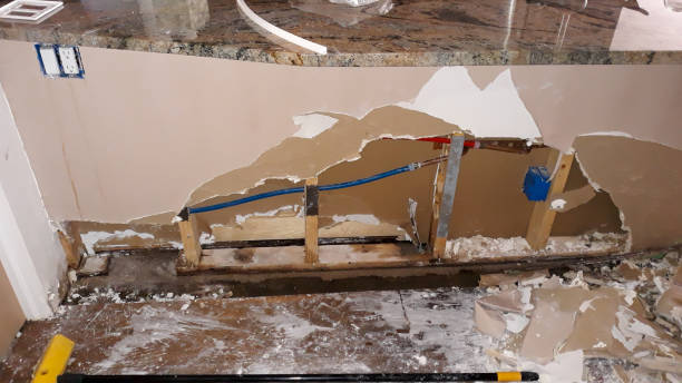 Best 24/7 water damage repair  in Harrogate, TN