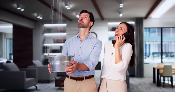 Best Basement water damage restoration  in Harrogate, TN