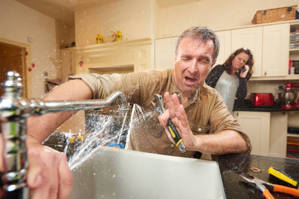 Best Professional water damage repair  in Harrogate, TN